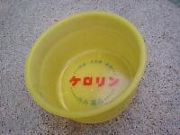 �P�������̉�