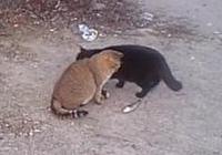 �n���Z���{��3