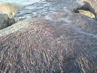�C���m��