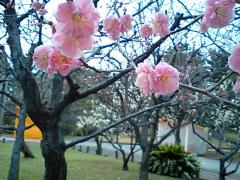 �E���i2/28�j