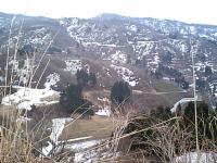 ������̌i�F
