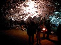 空中庭園(4/12) 空中庭園(4/12)