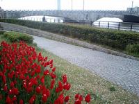 �V����1���ƃ`���[���b�v