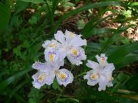�F������i5/24�j