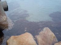 �����i8/8�j