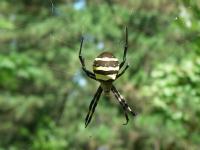 �R�K�l�O��