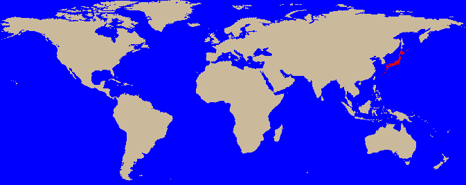 the world map