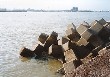 thw West Breakwater